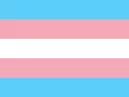 Bandeira Transexual: significado, cores e história